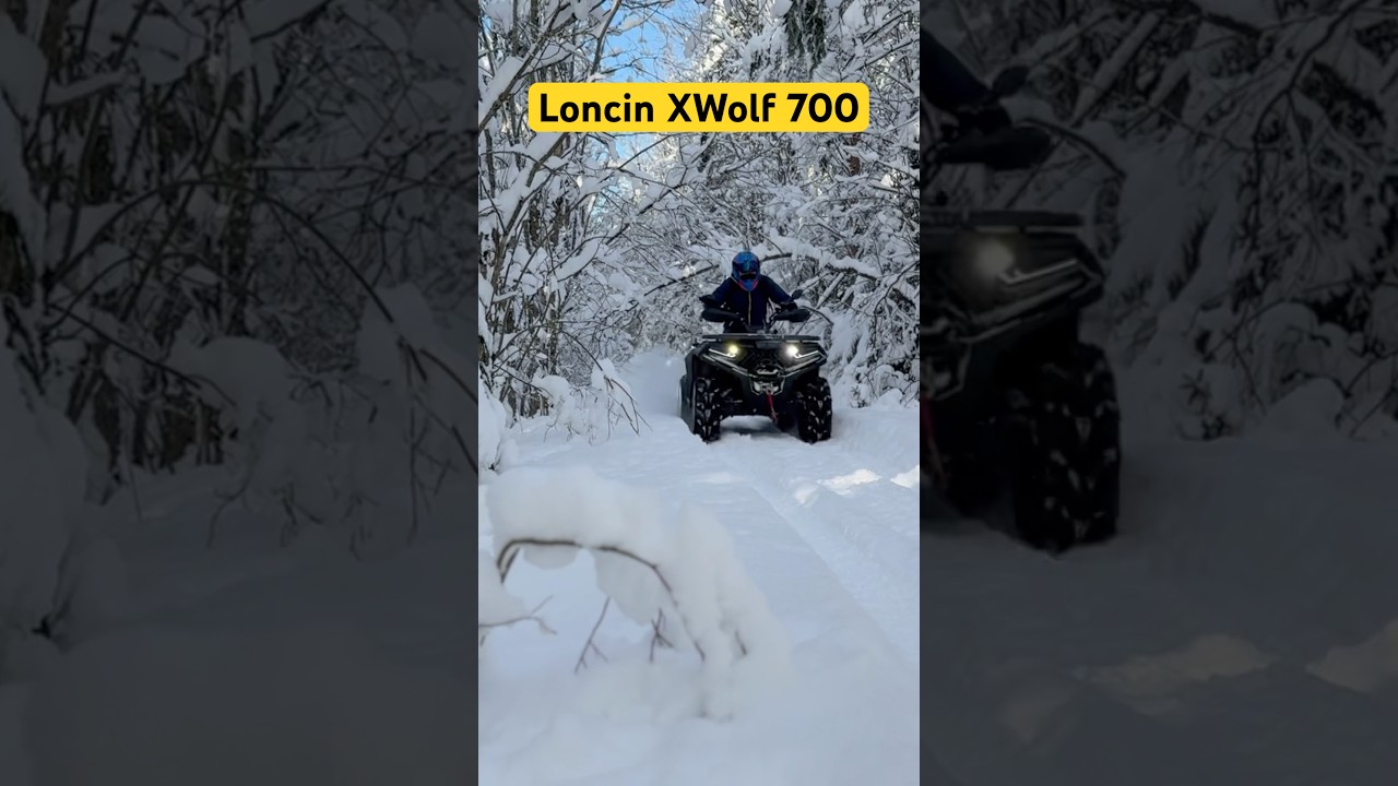 Loncin XWolf 700 winter forest #4x4 #atv #snow #cfmoto #winter #offroad #atv
