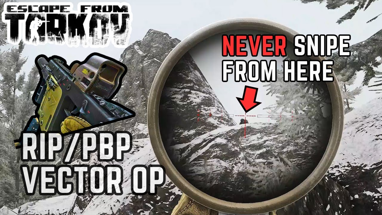 Swatting PMCs Off A Mountain | Escape From Tarkov 1.0