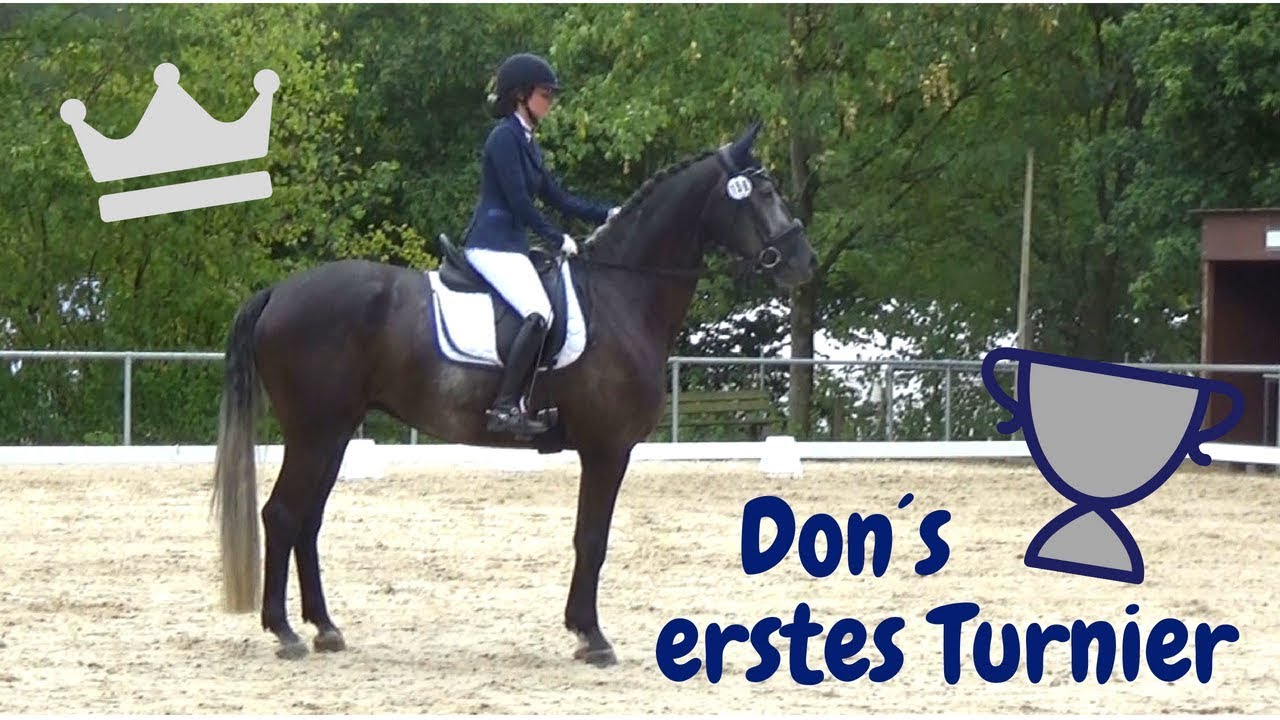 Don´s ERSTES TURNIER 😳 Dressurpferde-A (DA 3/2)