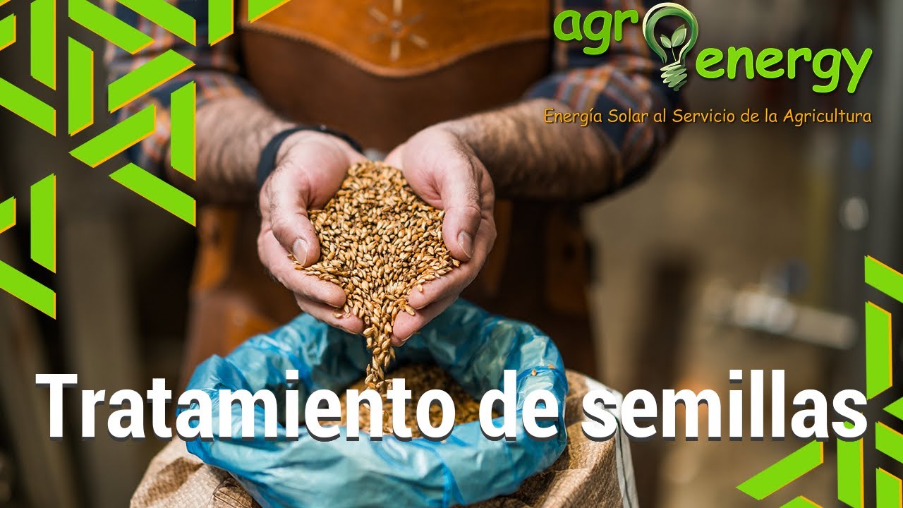 Tratamiento De Semillas