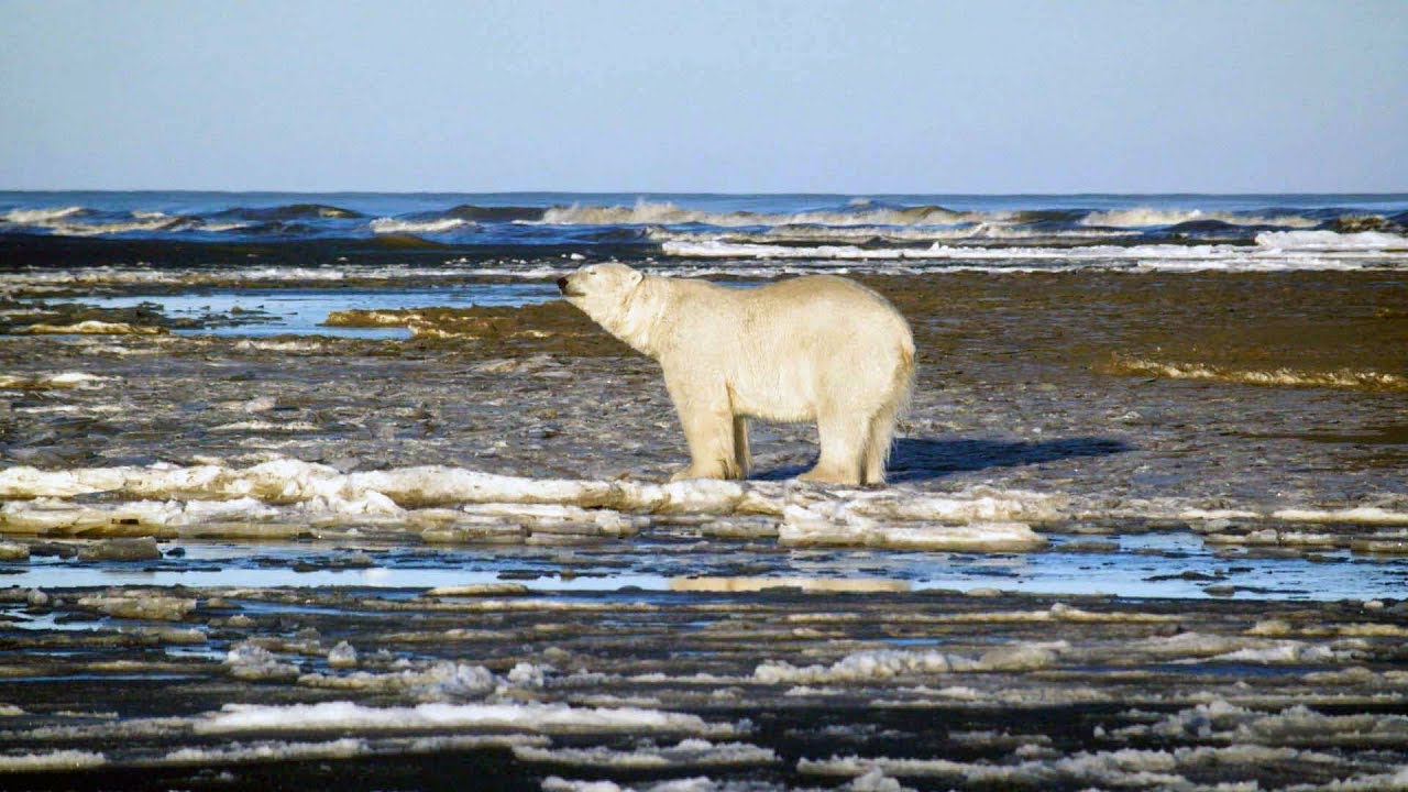 Alaskan Communities Divided Over Oil Drilling | Earth Focus | Earth Focus