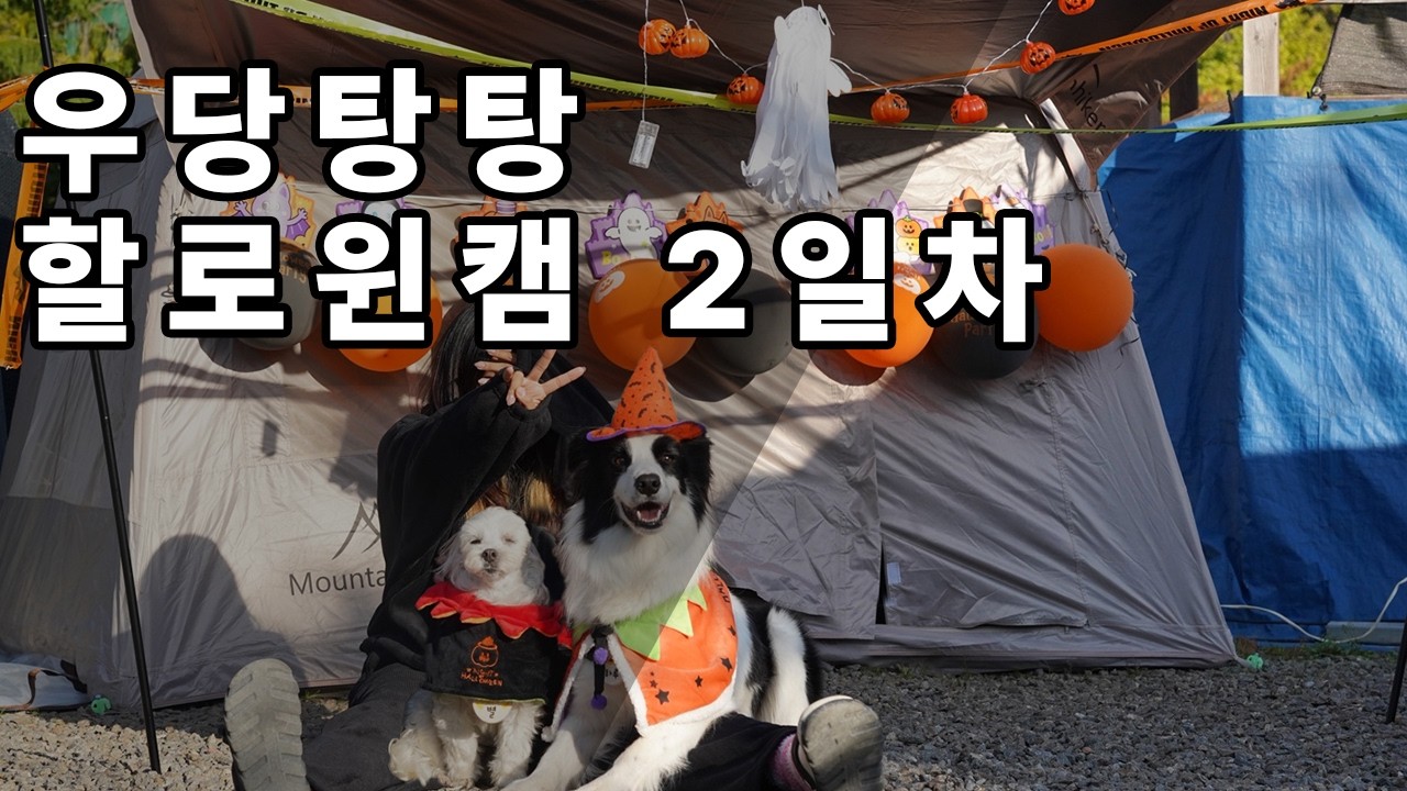 우당탕탕 할로윈캠2 #보더콜리 #할로윈캠핑 #낭만캠핑
