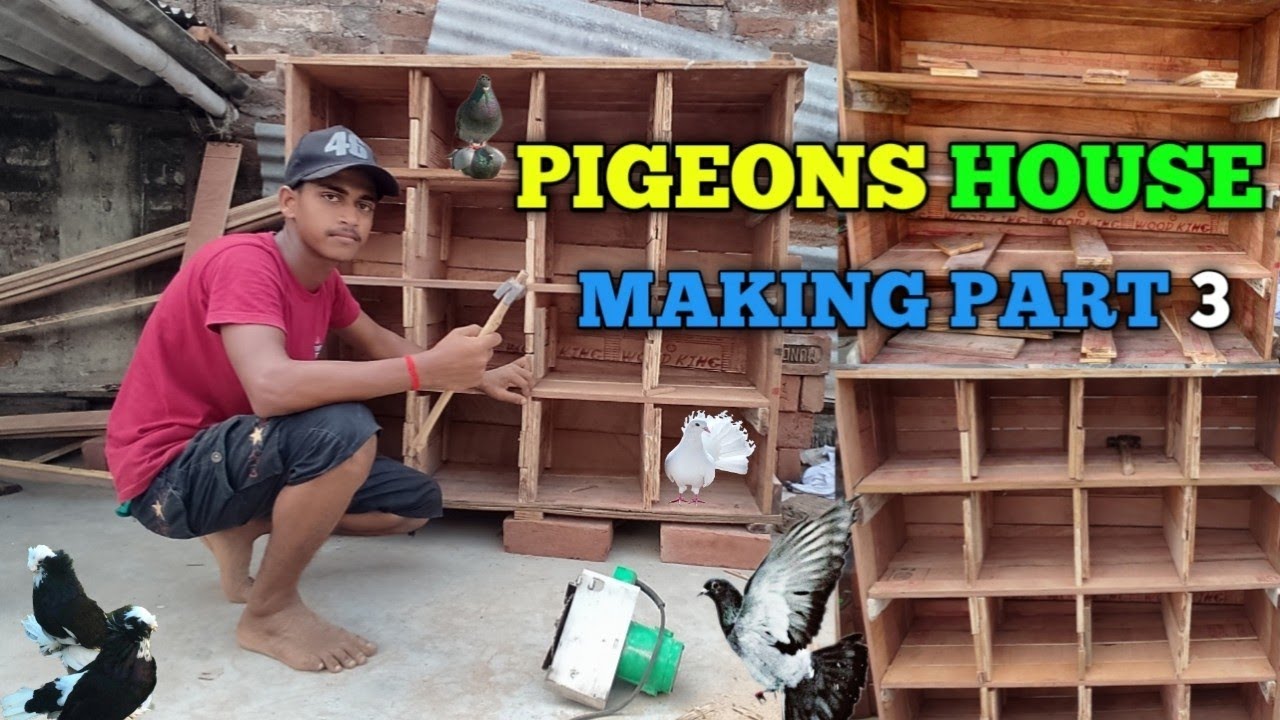 how to make pigeon house🕊️ || pigeons house 🏠 making part -3 @sonukumarghosh6203