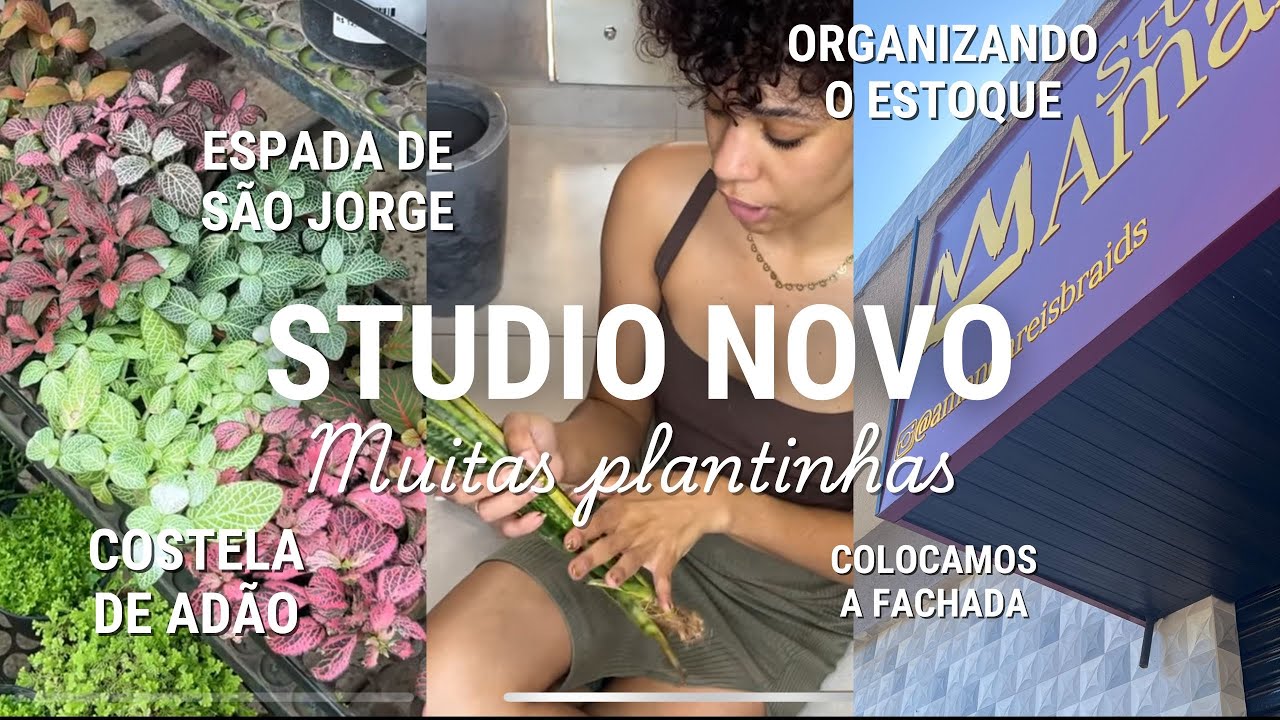 DECORANDO MEU STUDIO NOVO DE TRANCISTA | Muitas plantas | Como plantei | Fachada concluída | Parte 4
