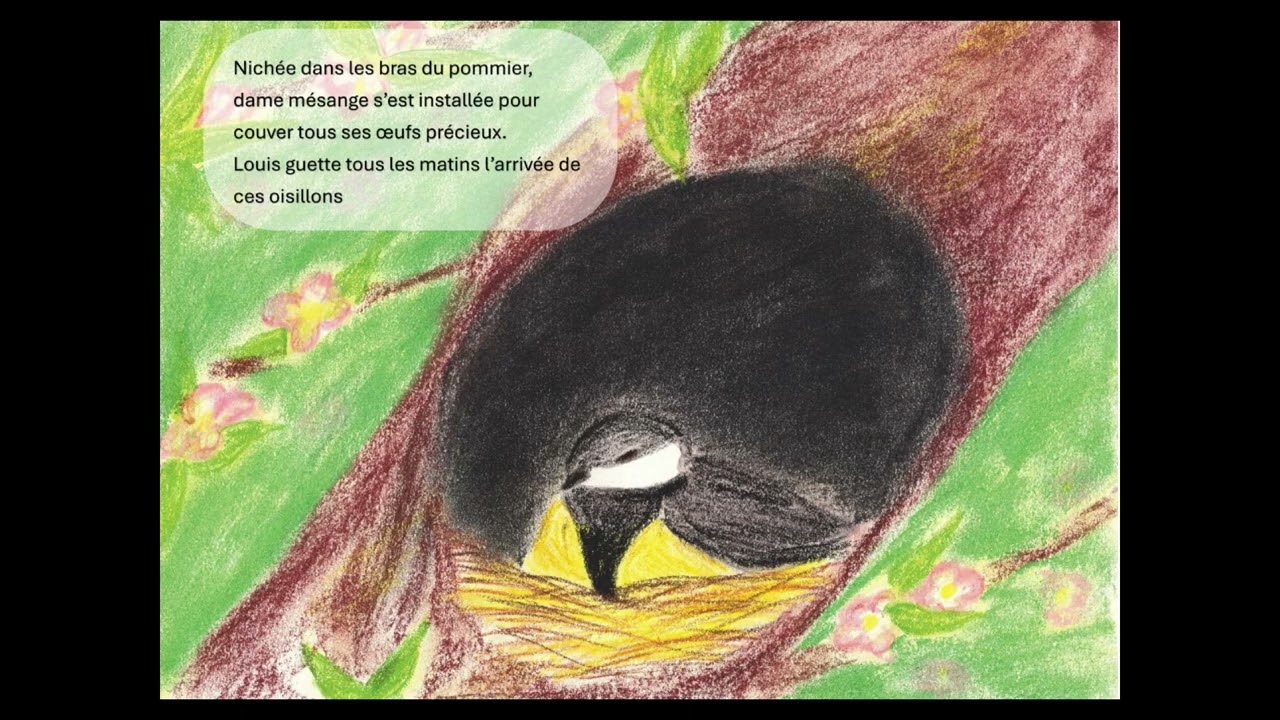 Plume d'amour | Conte musical poétique | Histoire en musique pour enfants