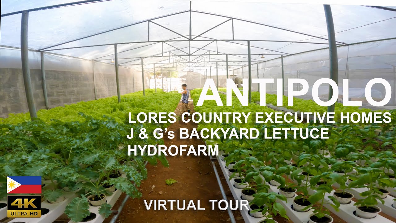 Lores Country Executive Homes | J & G's Backyard Lettuce HydroFarm [Hydroponics] Virtual Tour