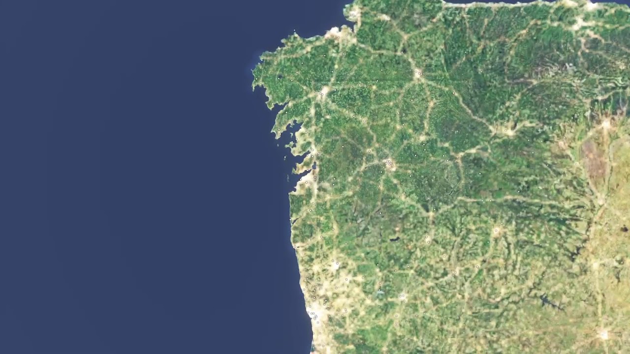 Flight sim 24 Company