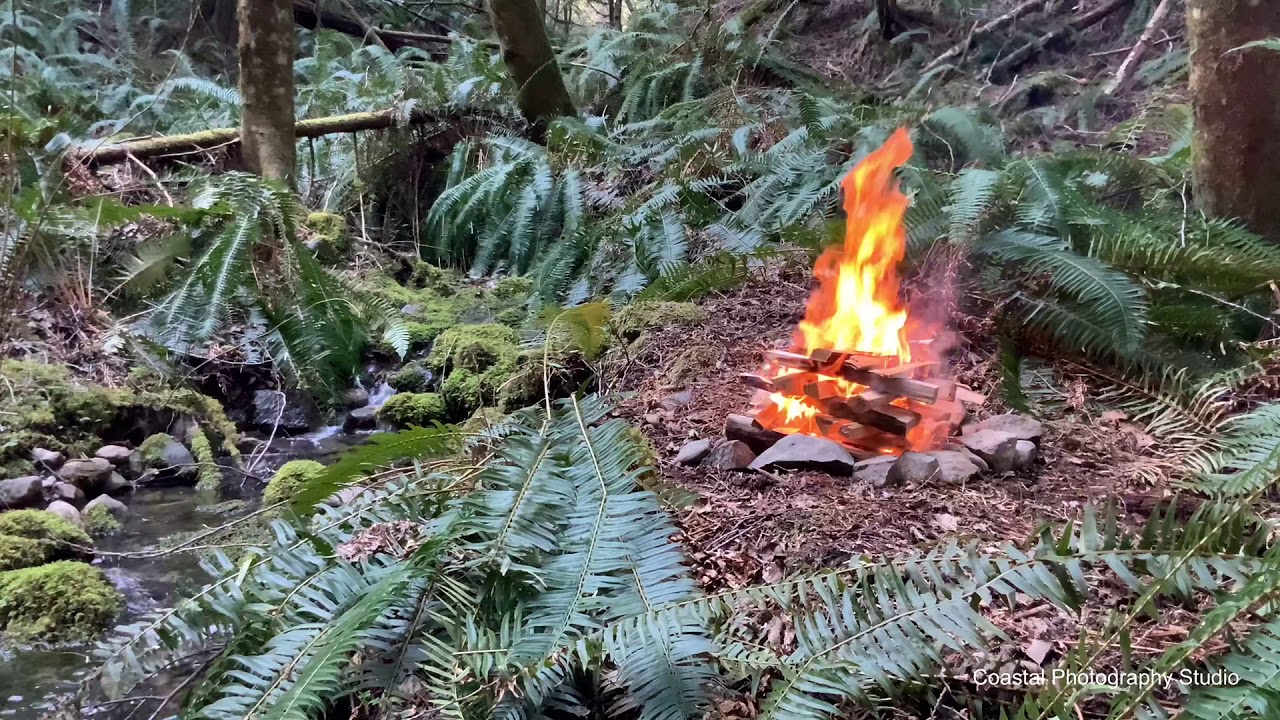 Creek side campfire 4K/HD - Vancouver Island *enjoy the outdoors indoors