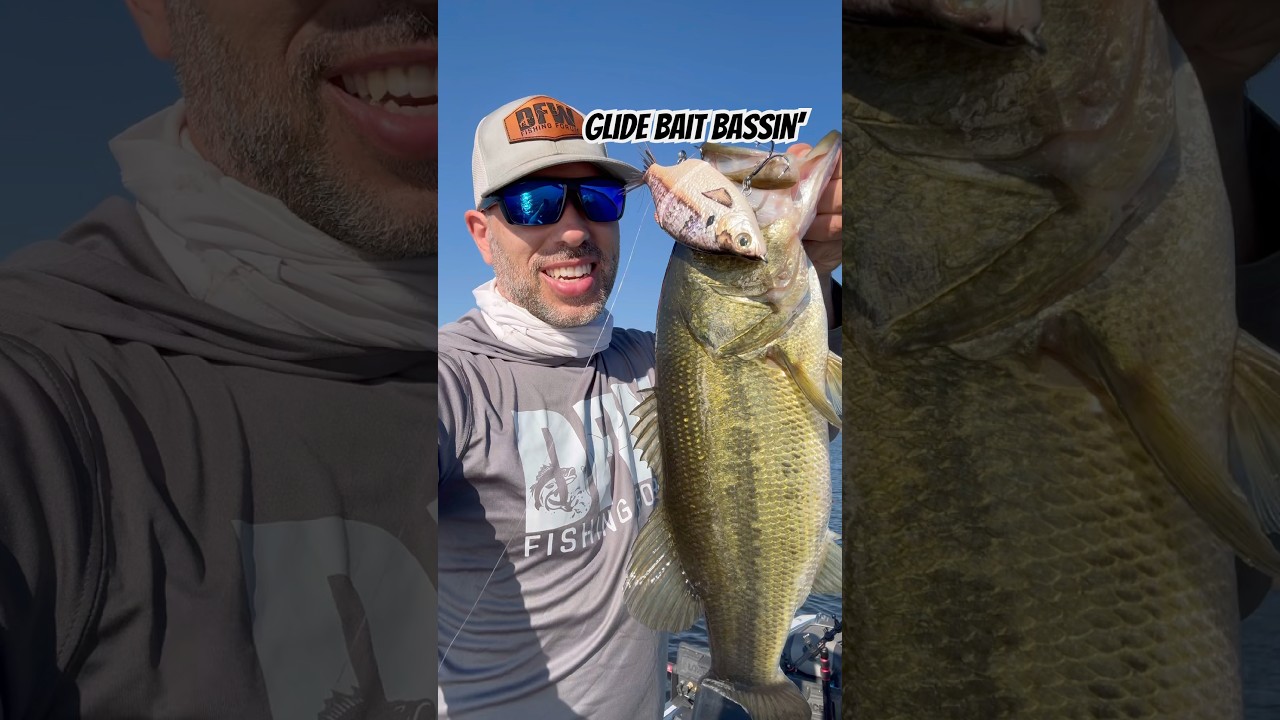 High pressure days bass like to suspend and chase bait. Got this glide on TackleCoOp.com 