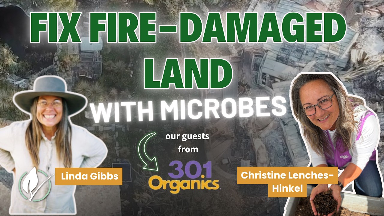 Wildfire Recovery & Bioremediation with Soil Biology