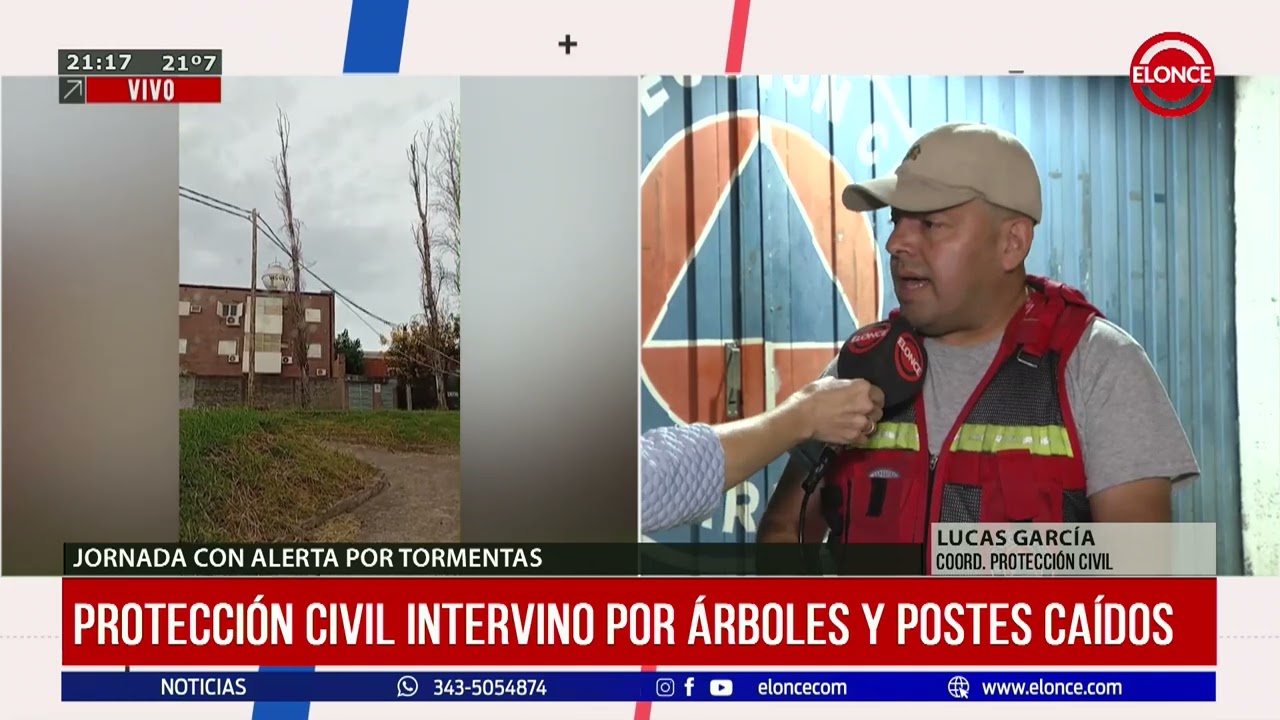 Protección Civil intervino por árboles y postes caídos en la ciudad