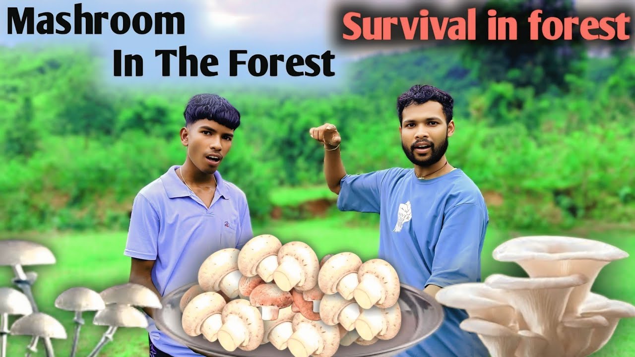 SURVIVAL IN FOREST | Jungle main survive | Jungle main survive challenge 