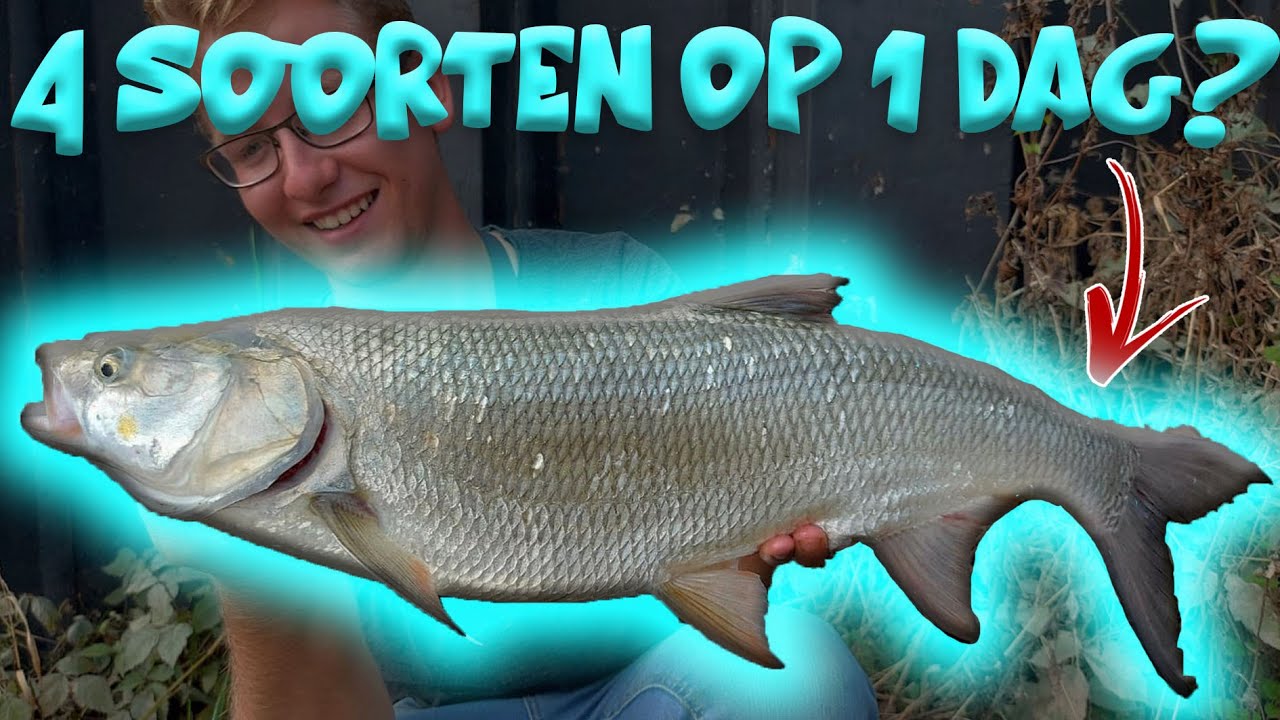 Kunnen We 4 SOORTEN op 1 Dag Vangen?
