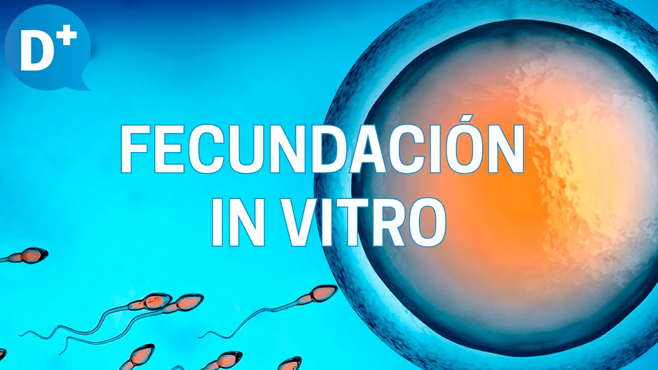 Fecundación in vitro: Etapas y resultados