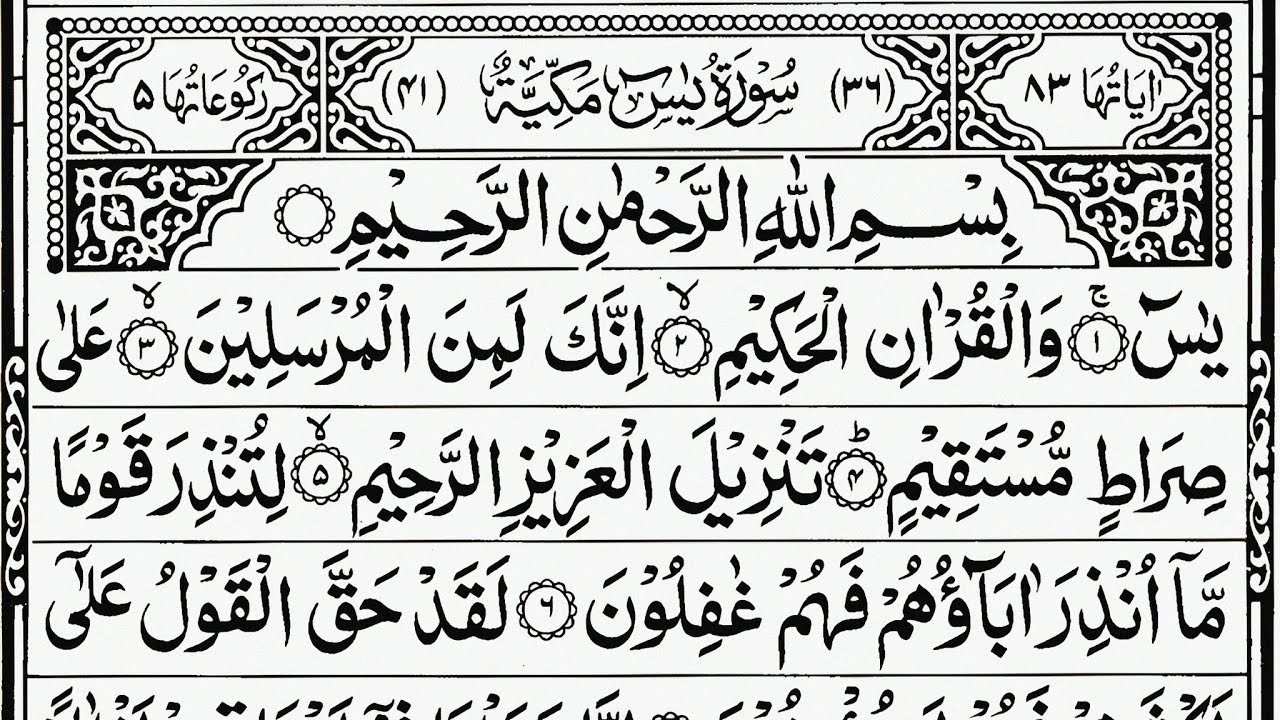 Surah Yaseen | Surah Rahman | Episode 447| Best Quran Tilawat Surah Yasin Surah Rahman Full Arabic