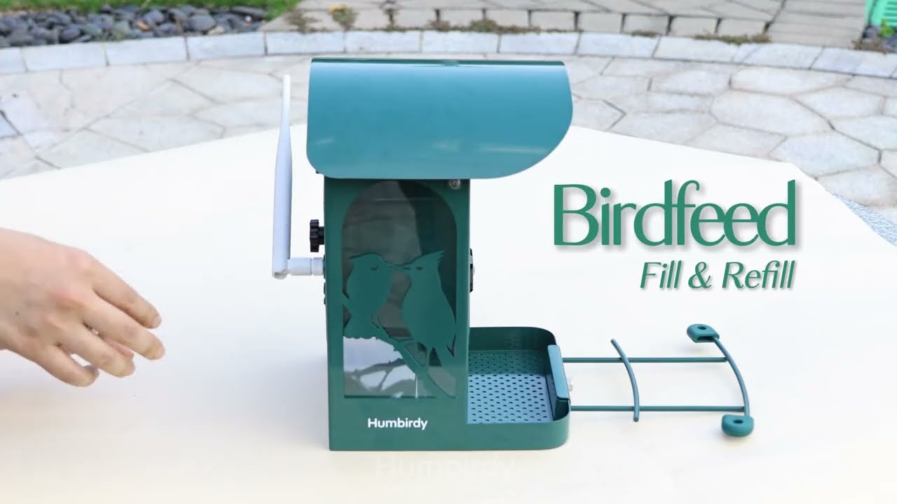 Get Your Humbirdy AI Bird Feeder Camera Up and Running in Just Minutes! 🐦