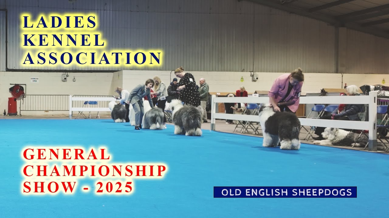 Applejem   LKA OES   11122025