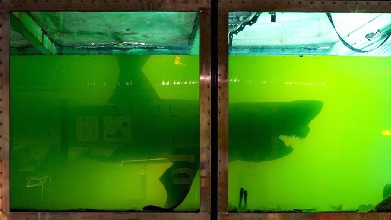 7 Laboratorios SECRETOS m&aacute;s Escalofriantes que NO QUIEREN que conozcas