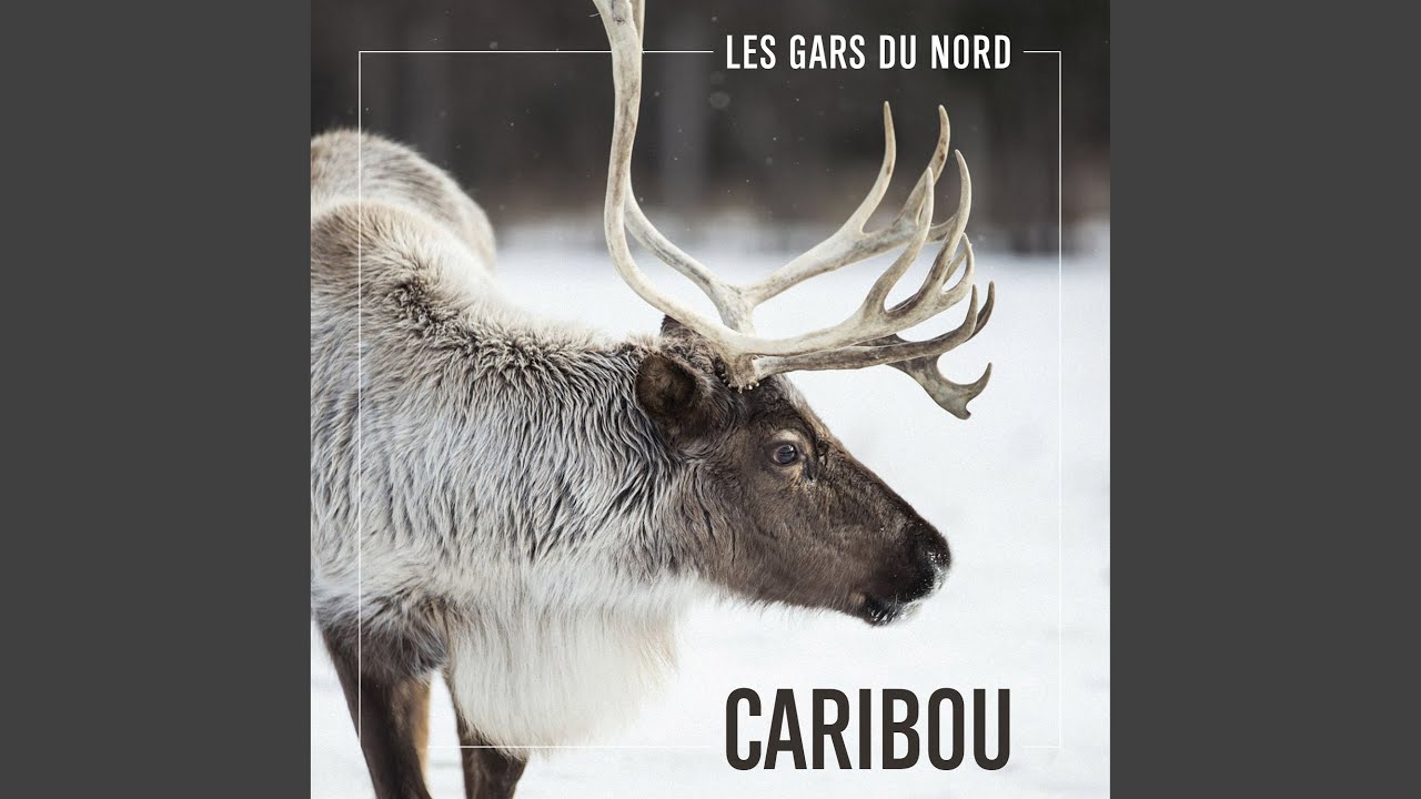 Les Gars Du Nord
