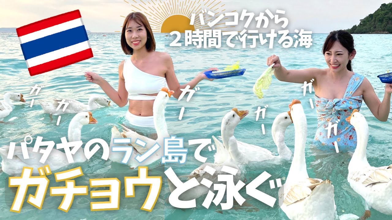 [タイ・ラン島]パタヤから船で30分で行けるエメラルドブルーの海！タイ人の間でひそかに話題のガチョウと泳げるビーチに行ってきました Geese Beach Koh Larn เกาะล้านพัทยา