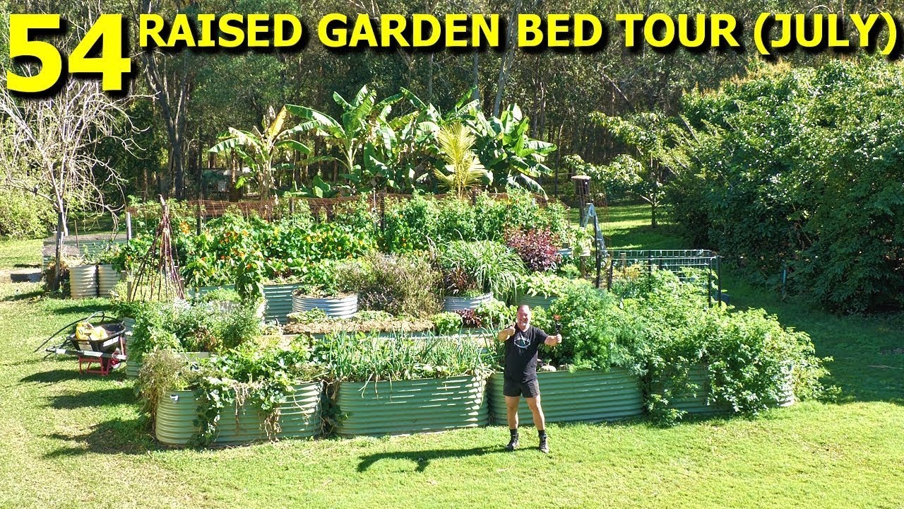 ALL 54 Raised Veggie Garden Beds Walk Around Tour (JULY)