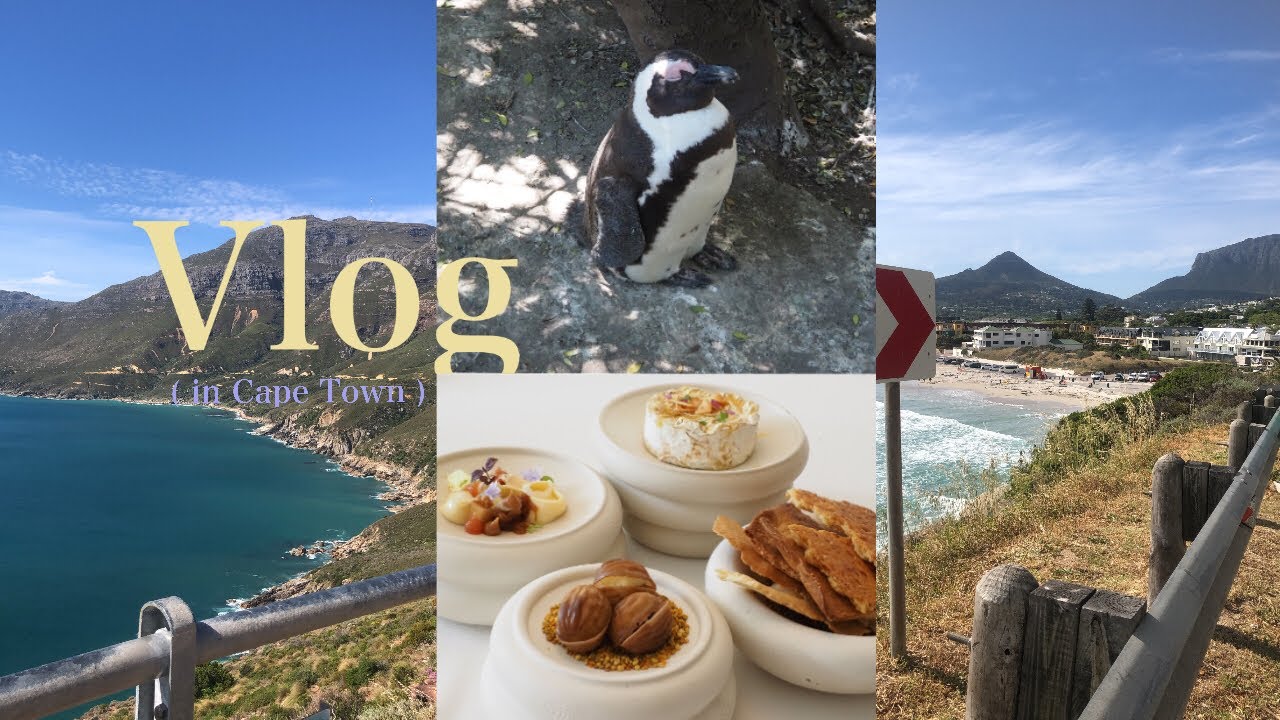 [ V L O G ] Ep.05 出發下個目的地～ 南非陽光旅行的小碎片｜前往開普敦🇿🇦｜回歸大自然嚕 ⋯