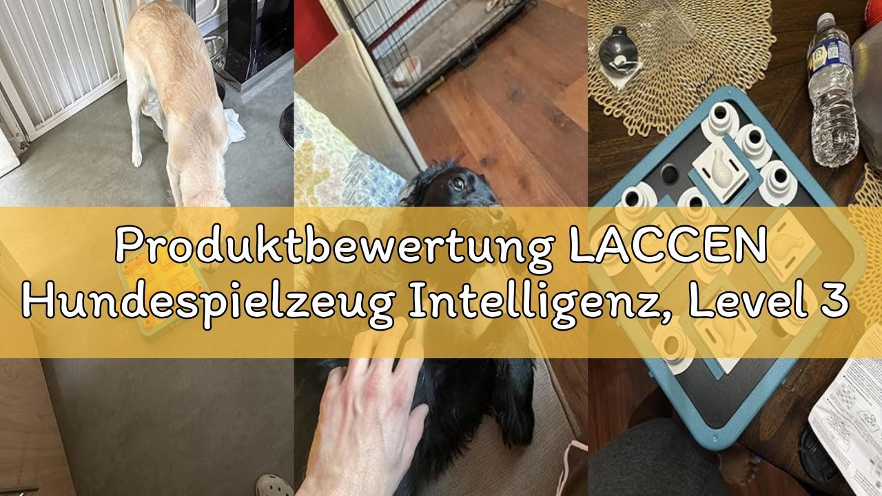 Produktbewertung LACCEN Hundespielzeug Intelligenz, Level 3 in 1 Interaktive Hundespielzeug Puzzle f