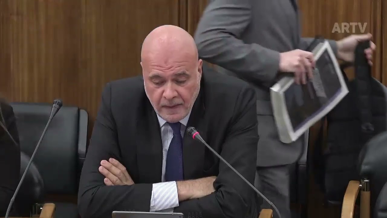 Intervenção de Paulo Mota Pinto na Comissão Eventual para a Revisão Constitucional