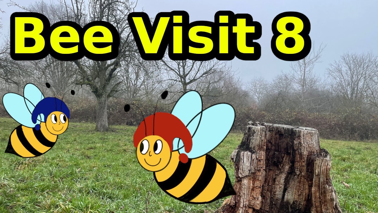 Bee Visit 8 | Quiet Beekeeping