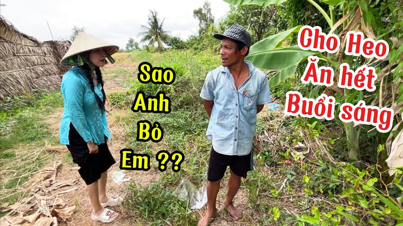 Lại anh Núi Leo dừa luôn hứa chở em Tâm Như đi chơi rồi bỏ người ta cho heo ăn hết buổi sáng .