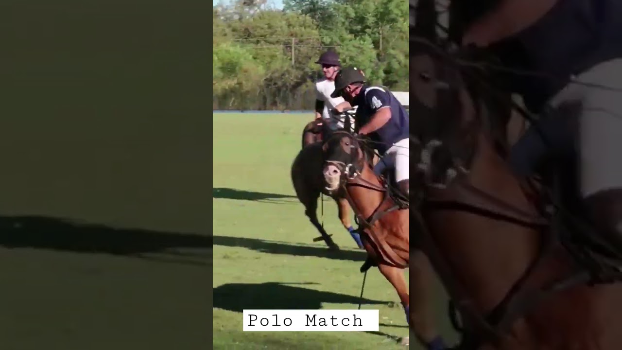 THRILLING POLO MATCH #shorts #polomatch