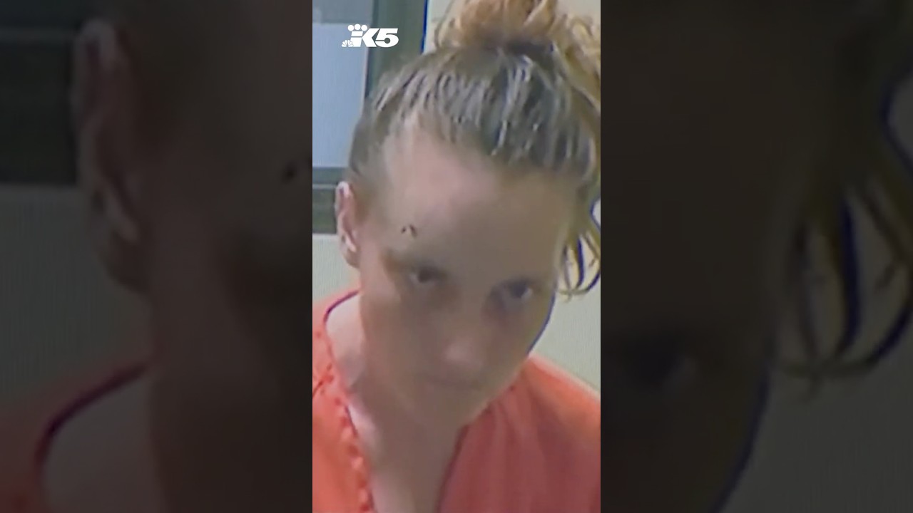 Suspect in deadly pursuit crash had 47 prior arrests