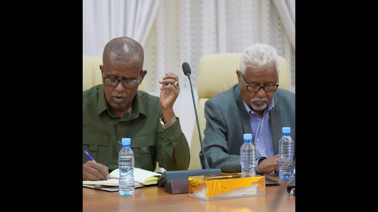 Президент Республики Сомалиленд созвал Национальное консультативное совещание, на котором...