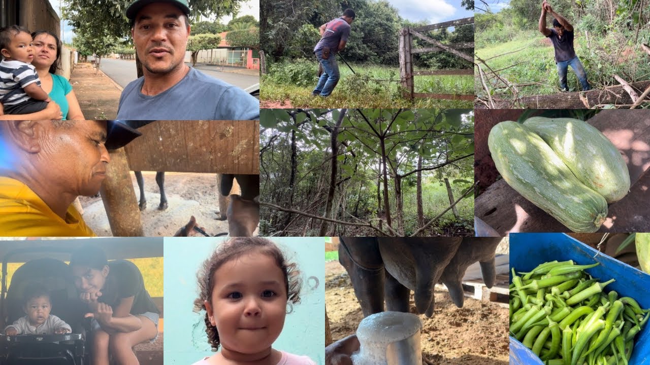 MANHÃ NO CURRAL COM O PAI/ARRUMANDO CERCA DE DIVISA🧑🏽‍🌾🐄🔨🙌🏽