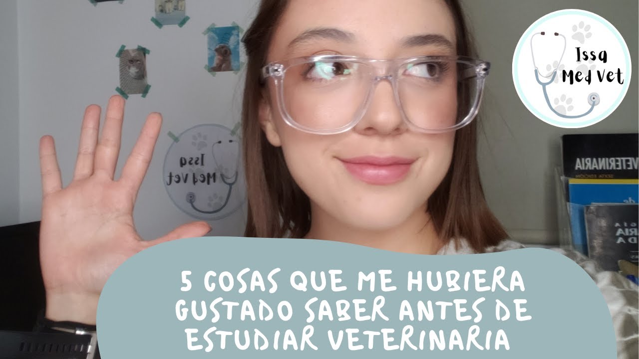🐾5 Cosas que me Hubiera Gustado Saber antes de estudiar Veterinaria | Issamedvet 🐾