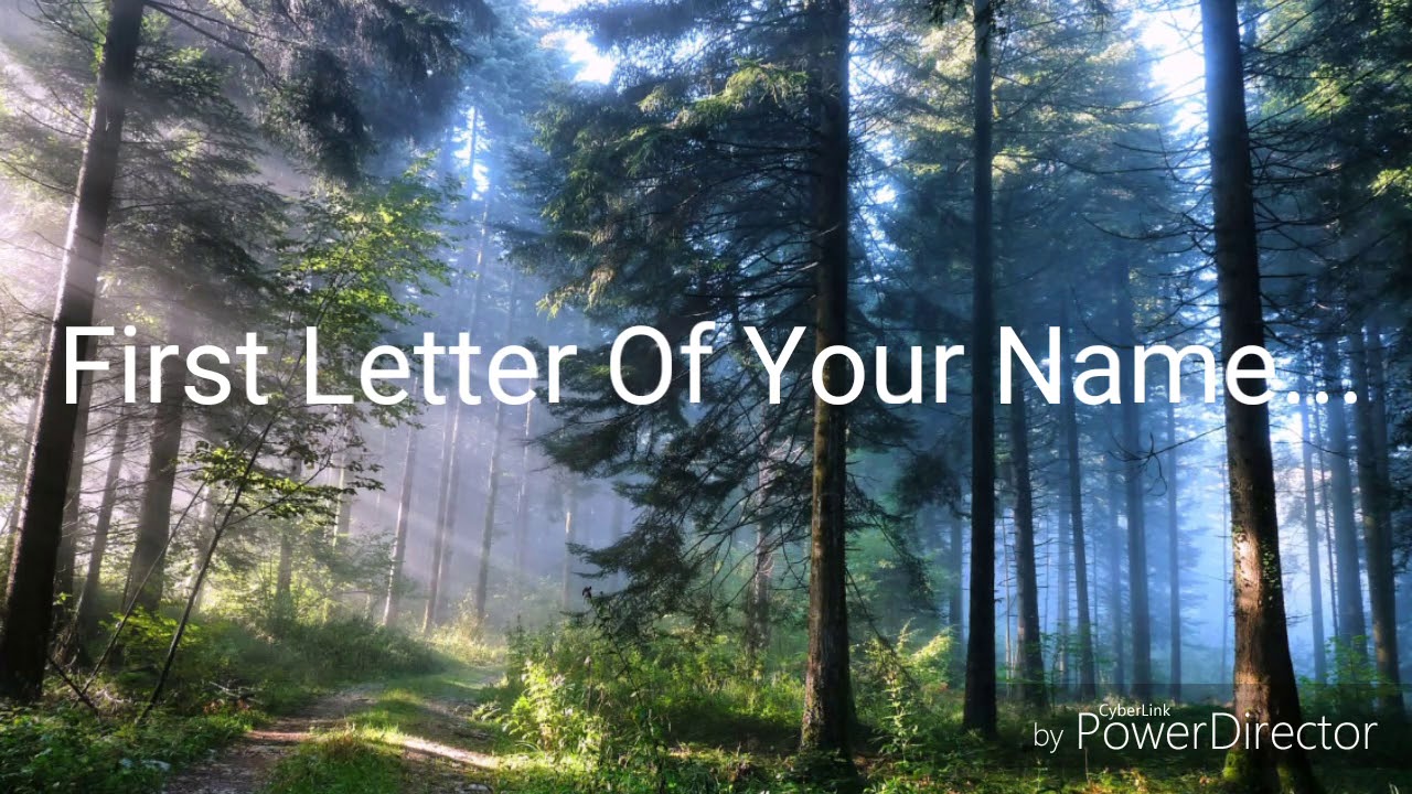 What's Your Warrior Cat Name? (QUIZ)