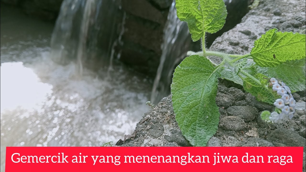 GEMERCIK AIR yang menenangkan jiwa dan raga  #nature#rileks#relaxation#terapi#fyp