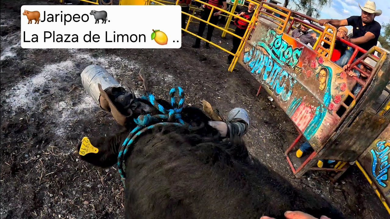 La Plaza de Limon🍋 Jaripeo Dia de los Ganaderos #Michoacan #jaripeo #laplazadelimon 