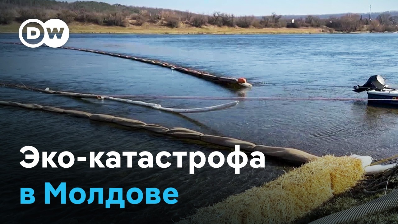 Экологическая катастрофа на Днестре после атаки РФ