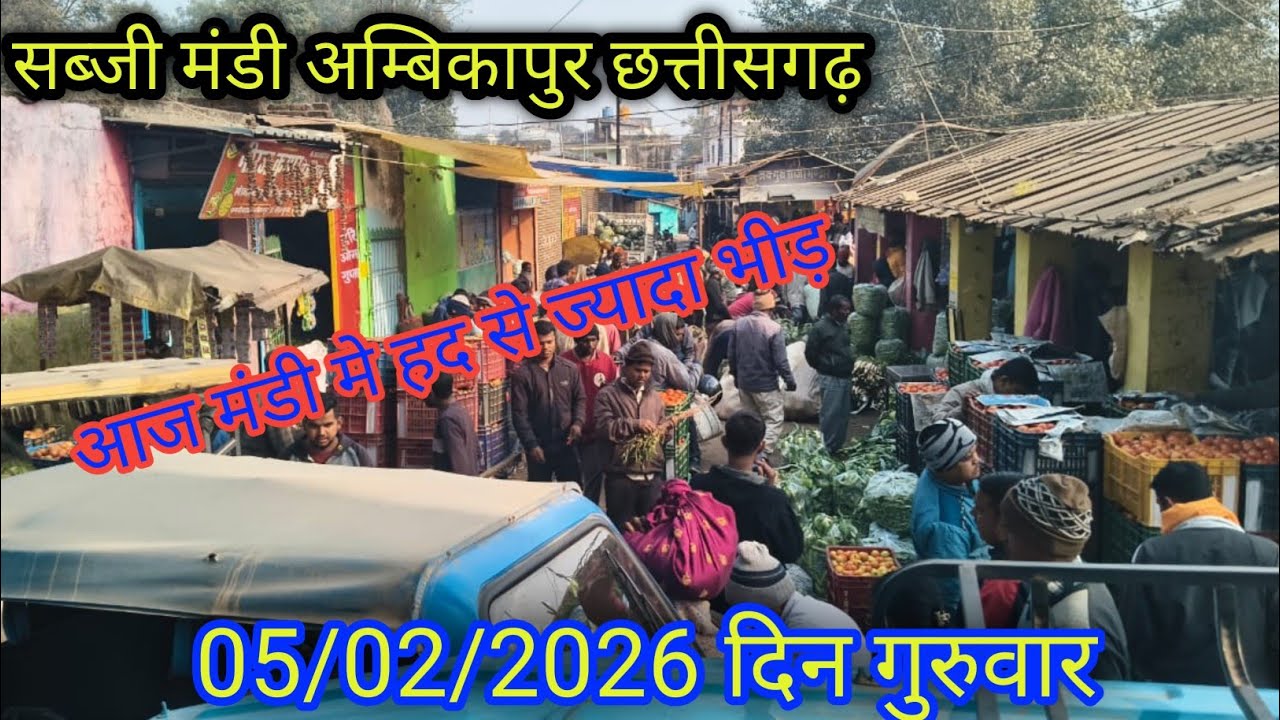 #सब्जी मंडी अंबिकापुर छत्तीसगढ़ का ताजा भाव जाने लाइव #बोली ?  #vegetable #viralvideo #cg #ambikapur