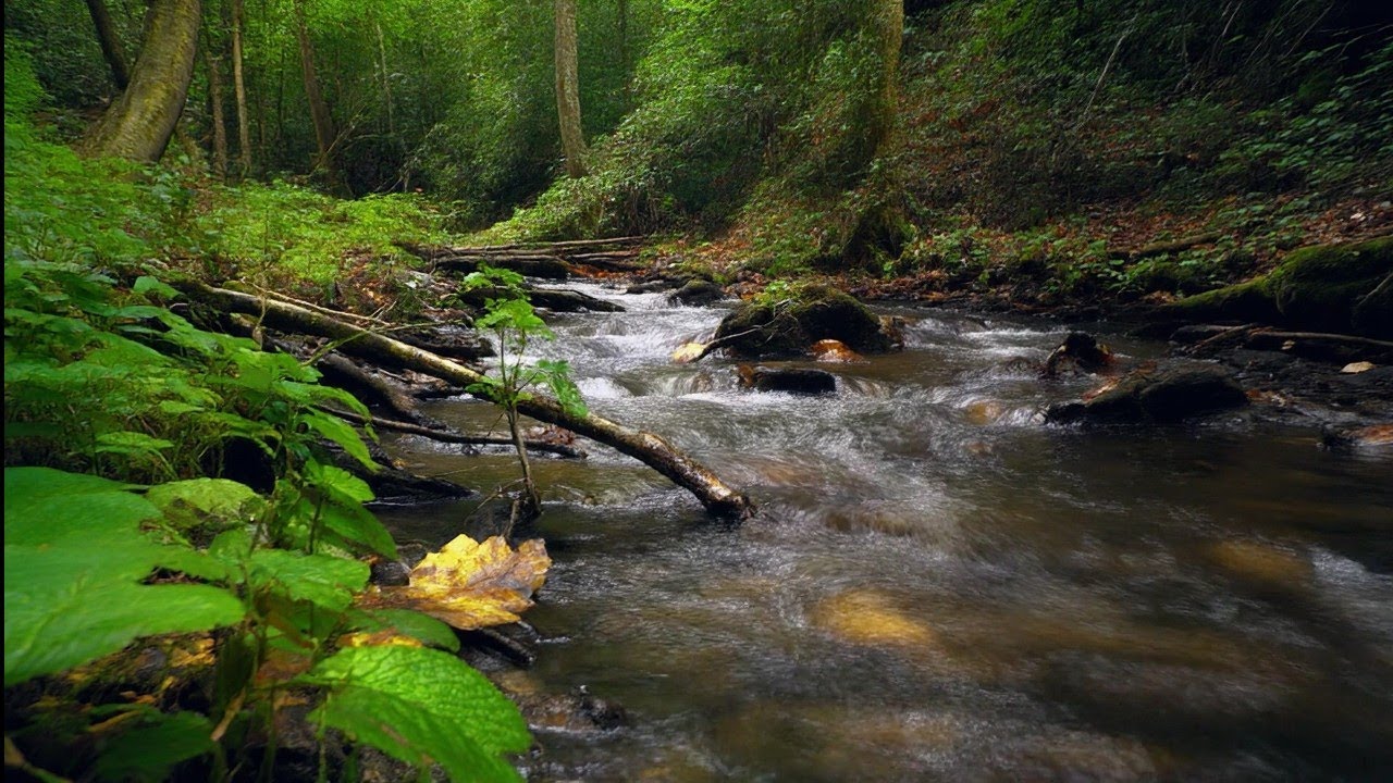 Crystal Clear River Flow ASMR &ndash; Nature Water Sounds Hd for Sleep