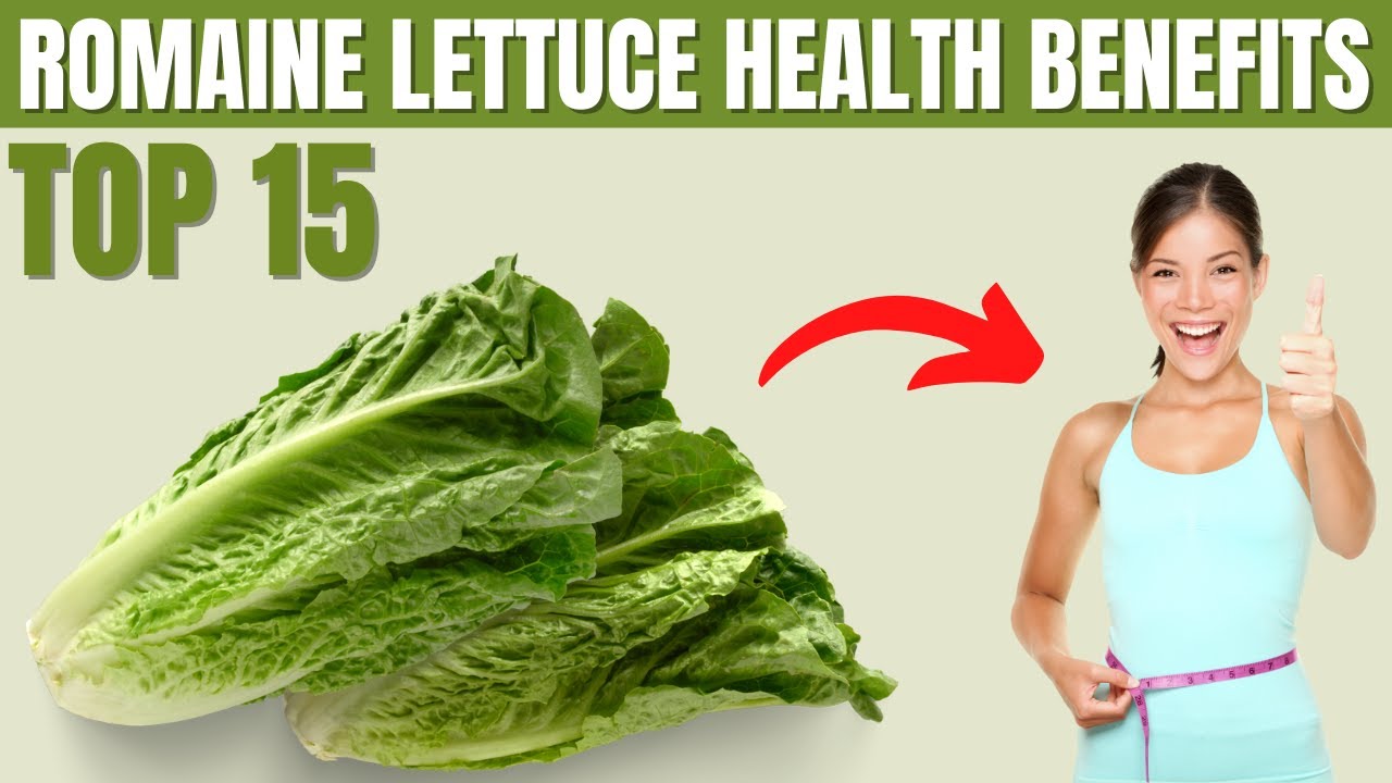 Romaine Lettuce Benefits | 15 Amazing Health Benefits of Romaine Lettuce