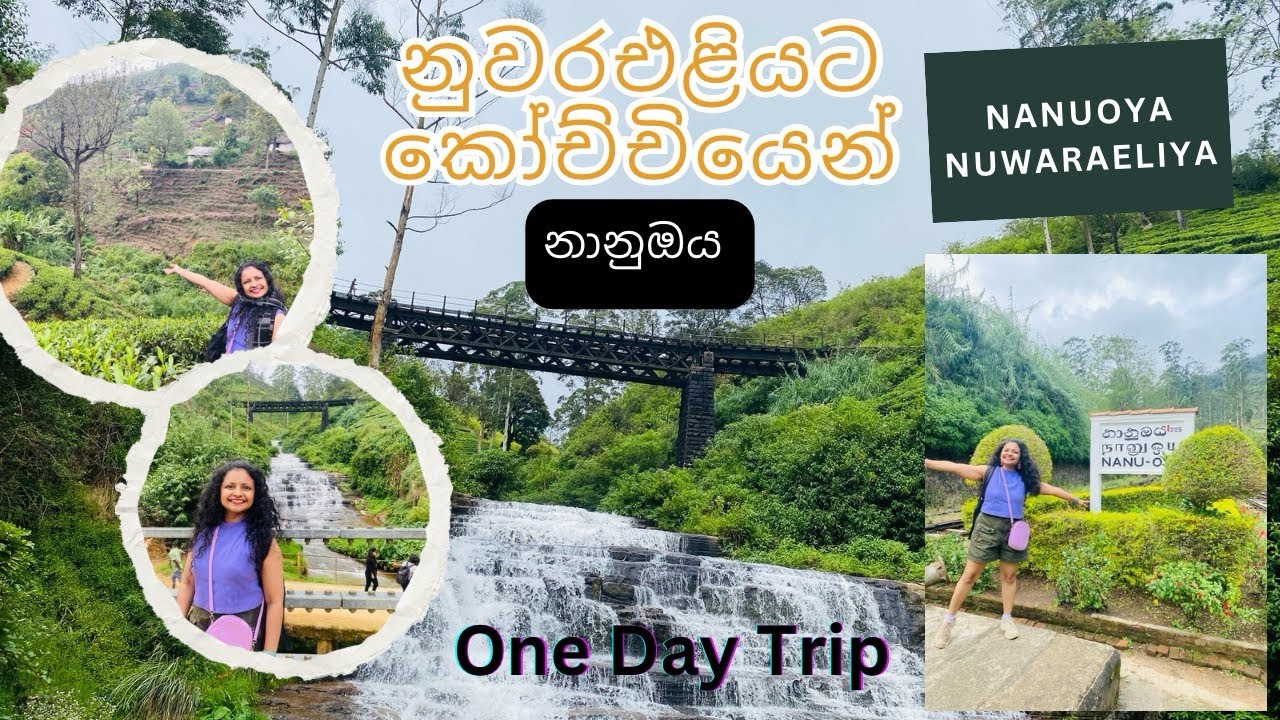 Nanu Oya | Train Trip | One Day | Nuwara Eliya | කෝච්චියෙන් නුවර එළියේ යමු | නානු ඔය| Low Budget