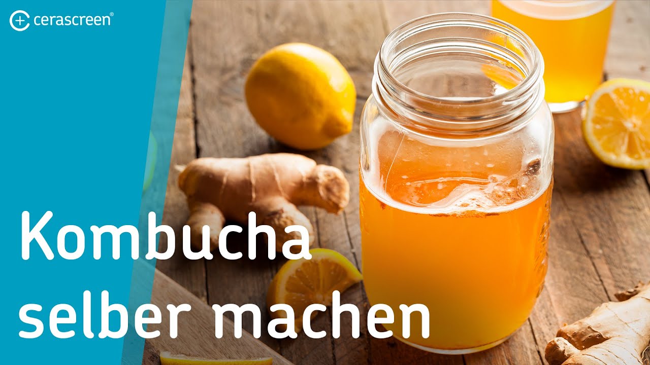 Kombucha zuhause selber machen! | Fairment Starter Kit