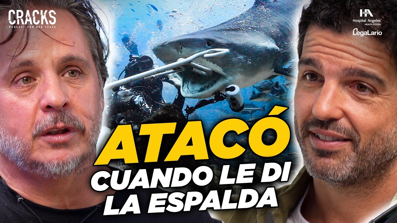 TURISMO de TIBURONES en MÉXICO |  GERARDO DEL VILLAR CRACKS PODCAST #369