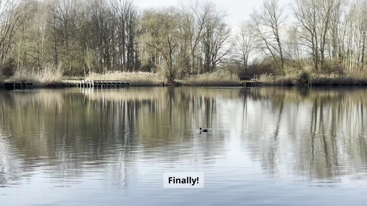 Time Slows Down by The Lake