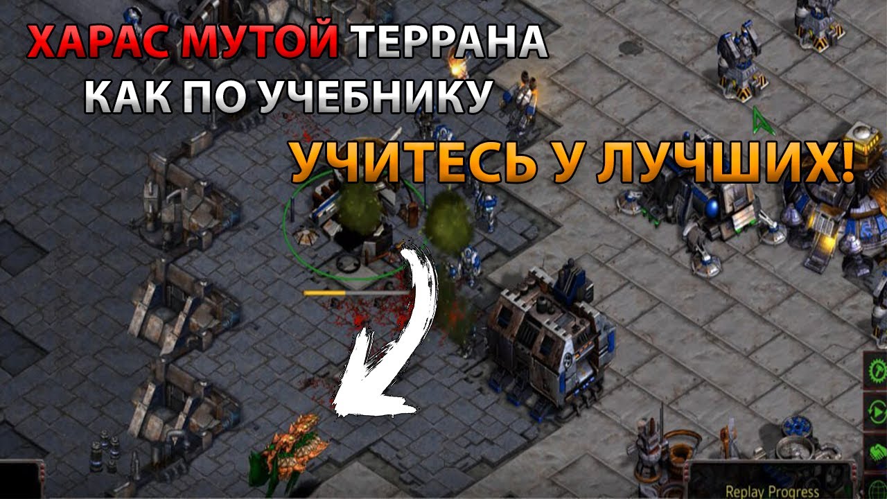 Старкрафт Z VS T Харас мутой и фаталити от королев!