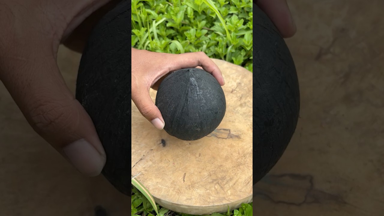Wow 😱 So Hard! Cracking Open a Burnt Coconut Shell #coconut #asmr #rarefruits #cuttingskills