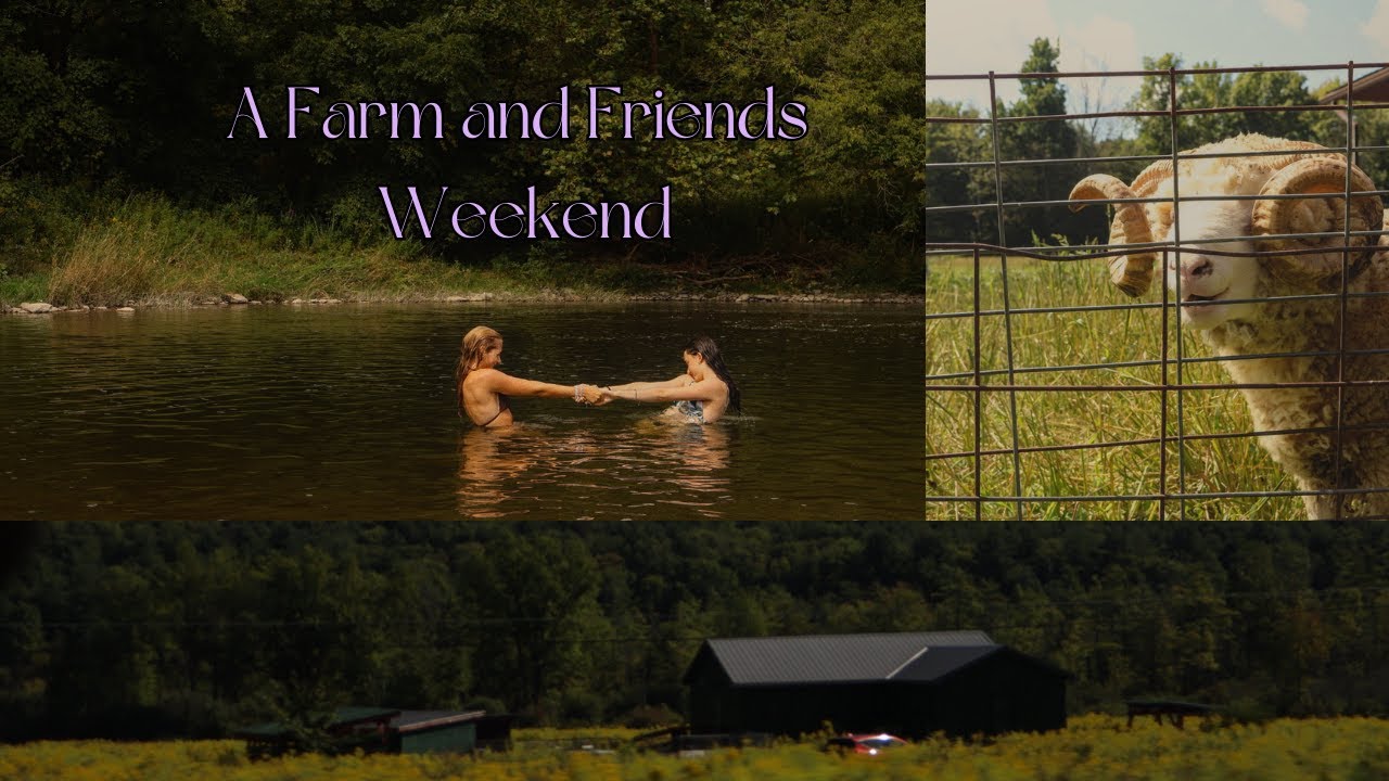 First Weekend of September: Farm and Friends