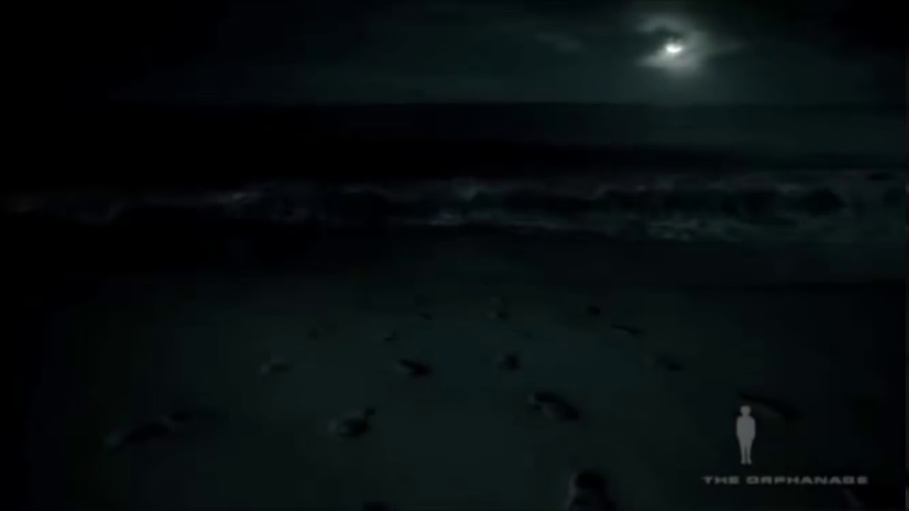 Lose Yourself- Military Tribute